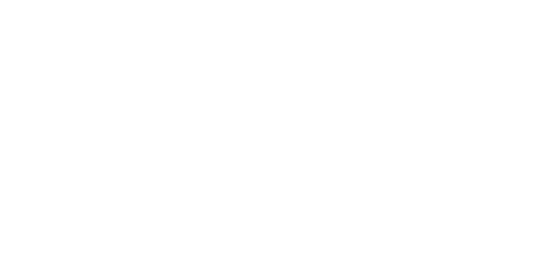 Tulip Carpet Cleaning Arnold