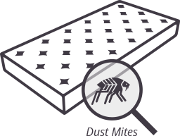Dust Mites Cleaning Treatment Dust Mites Cleaning Treatment